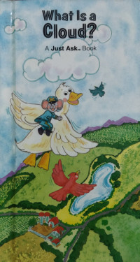 Image of What Is a Cloud?