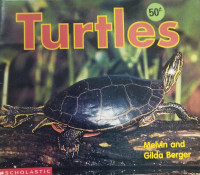 Image of Turtles