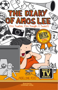 Image of The Diary Of Amos Lee